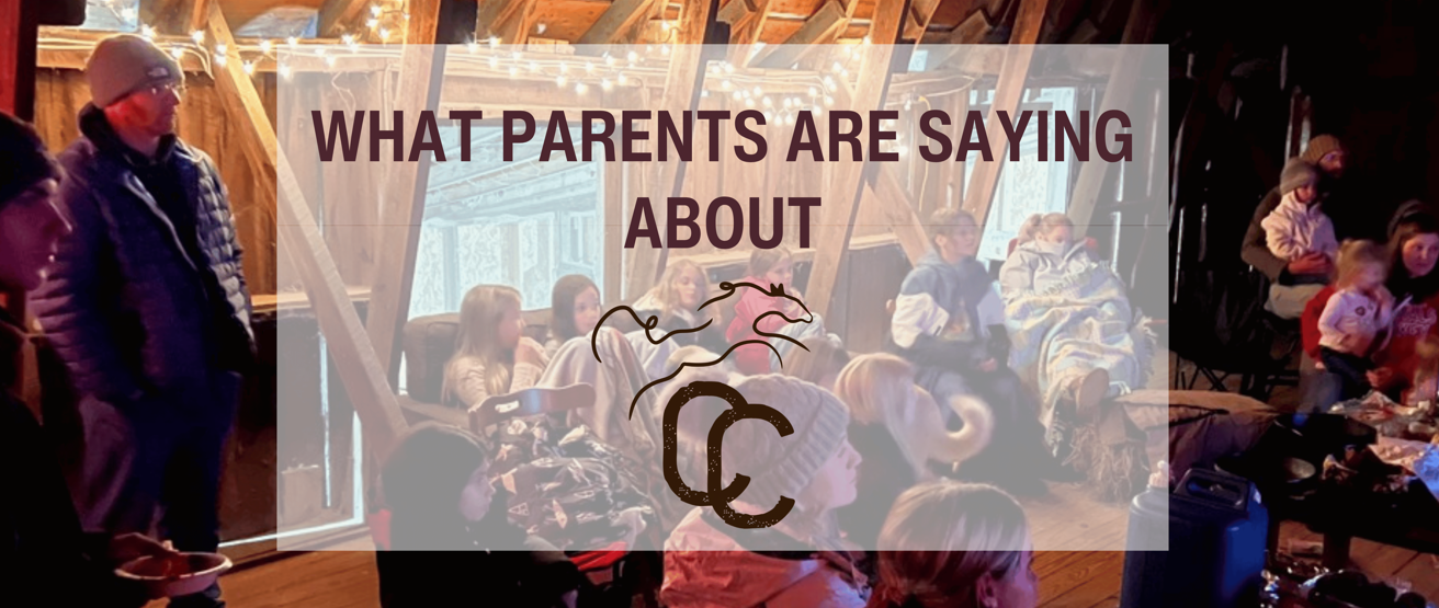 what parents are saying what parents are saying